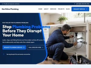 Aperçu de la page d'accueil de Northline Plumbing